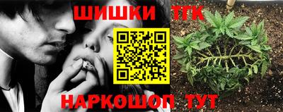 бошки Гагарин
