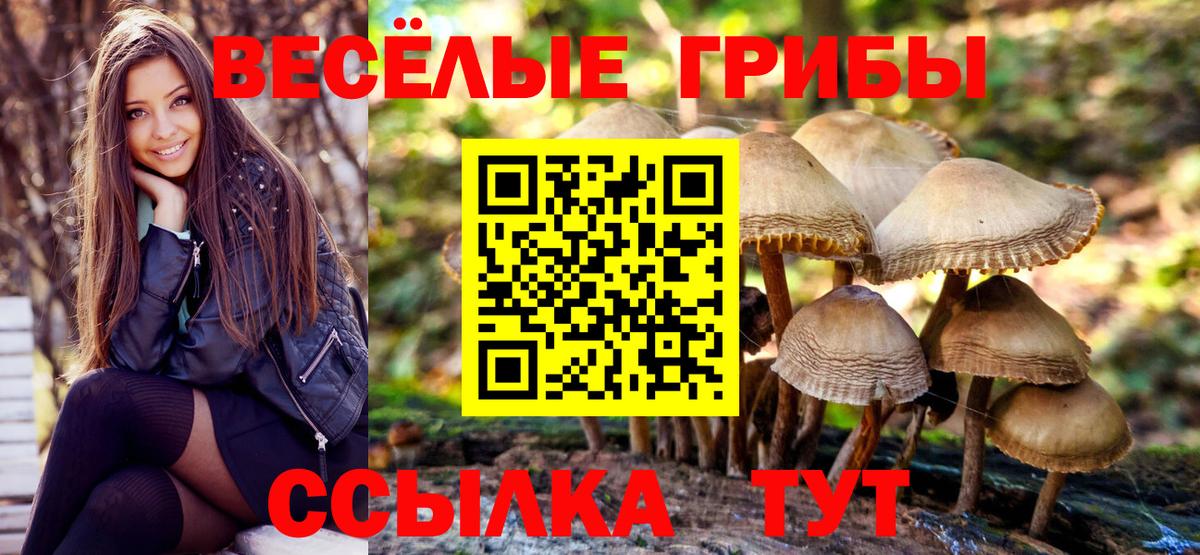 Урус-Мартан  Галлюциногенные грибы мицелий  Вход с VPN 