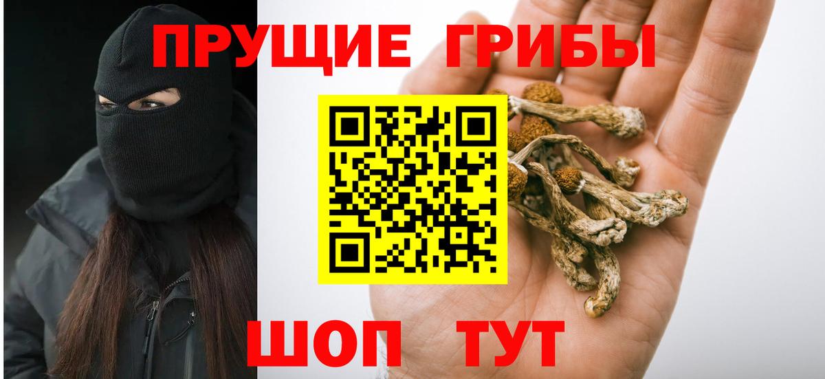 Псилоцибиновые грибы GOLDEN TEACHER Урус-Мартан