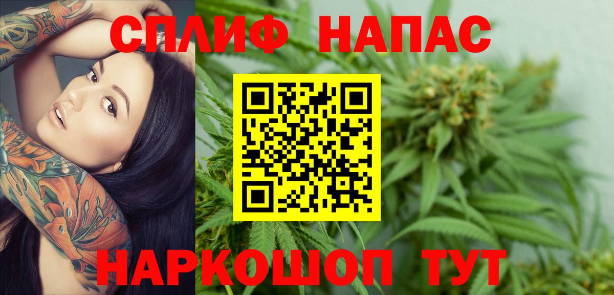 Бошки марихуана конопля Урус-Мартан